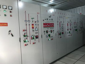 京東超市11.11溯源團走進安貝茶業 以定制化產品驅動三倍增長新目標