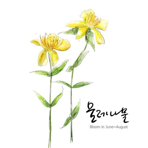 花草素描圖片(5)