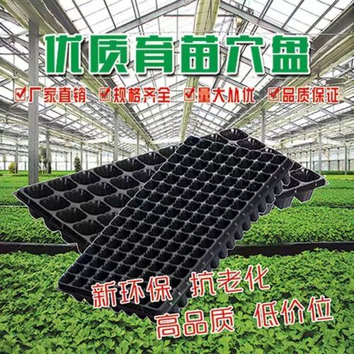 加厚草莓專用多肉月季瓜果扦插盤蔬菜培育穴盤育苗托盤育苗營(yíng)養(yǎng)杯