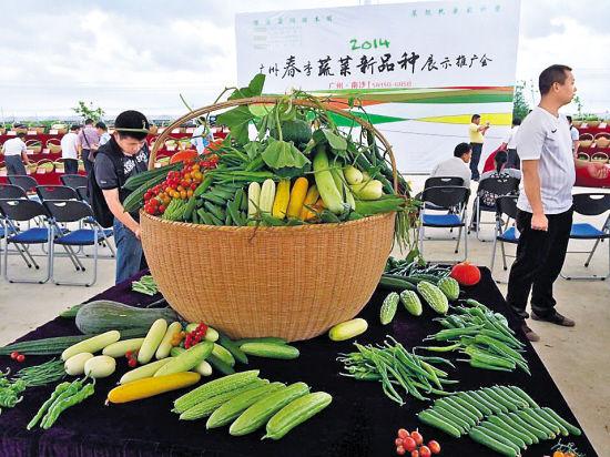 農(nóng)民朋友反映較好的蔬菜良種以及新培育的高產(chǎn)優(yōu)質(zhì)的蔬菜新品種