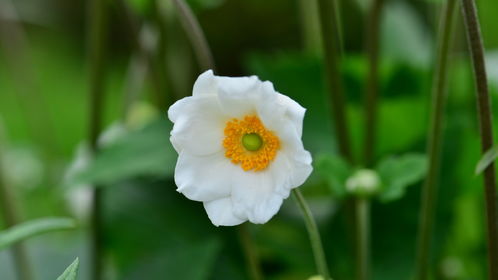 哈爾濱哪家醫(yī)院都能開(kāi)診斷證明假條呢