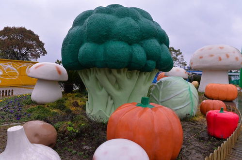 火爆的 向往的生活 原來上海就有 關鍵還免費 你知道在哪嗎