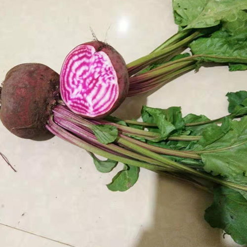 昆明無(wú)土栽培蔬菜哪里賣擇優(yōu)推薦 本信息長(zhǎng)期有效