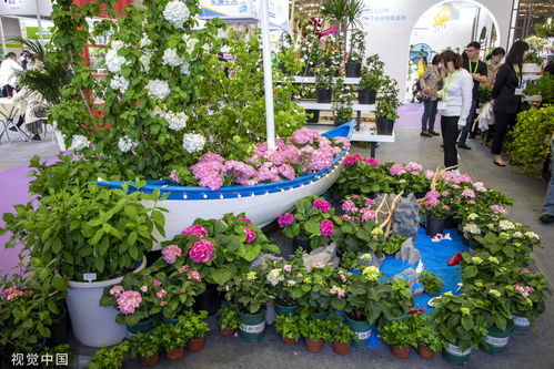 中國(guó)國(guó)際花卉園藝展覽會(huì)在上海舉行
