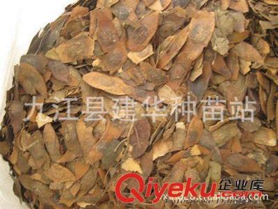 供應 降香黃檀種子 優質木材 種子 黃花梨種子-九江縣建華種業提供供應 降香黃檀種子 優質木材 種子 黃花梨種子的相關介紹、產品、服務、圖片、價格九江縣建華種業、林木種子;工程種子;園林綠化種子;花卉種子;珍稀樹種;紫玉蘭種子;羅漢松種子;黃山欒種子;小葉雞爪槭種子;桂花種子;濕地松種子;雪松種子;楠木種子;南方紅豆杉種子;櫸樹種子;杉木種子;皂角種子;楊梅種子;馬尾松種子;藍花楹種子