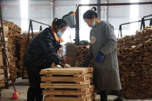 貴州錦屏年產(chǎn)20萬(wàn)方木制品加工廠重大項(xiàng)目建設(shè)有序推進(jìn)