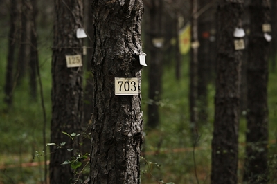 塞罕壩的生態(tài)賬本_今日中國(guó)