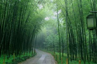 老杭州的清明怎么過(guò) 這些民俗別錯(cuò)過(guò)