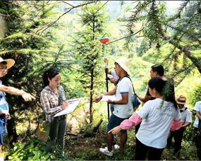 榕江縣人民政府 部門動態 榕江縣樂里鎮林業站認真完成國道211線改擴建工程征用林木測量登記工作