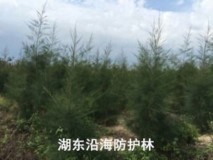 政務公開 汕尾市林業局