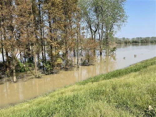 湖北省終止水旱災害防御iv級應急響應