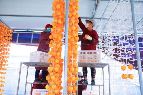 分享式 扶貧對一個村莊堪比一所大學