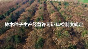 林木種子生產經營許可證年檢制度規定