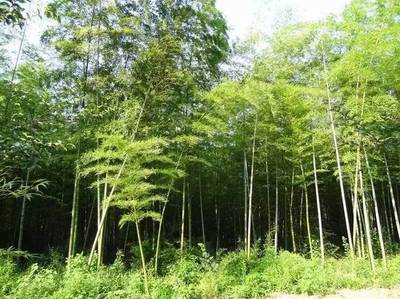 小長假最全馬鞍山出游攻略,爬山、溫泉、公園&hellip;想怎么嗨就怎么嗨!