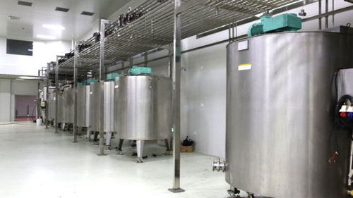 彭州竟 藏著 家巧克力工廠,產品遠銷海外,連空氣都是甜的