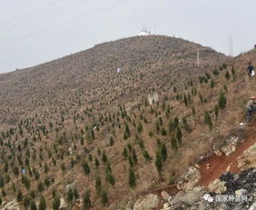 貴州省舉辦2019年林木種苗質(zhì)量檢查培訓(xùn)班