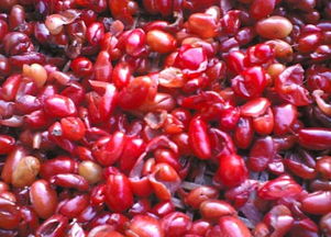 蜀中棗皮花卉 自然界的抗癌瑰寶